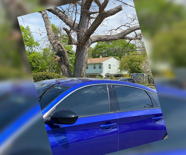 Image Accessories and Luxuries Martinez